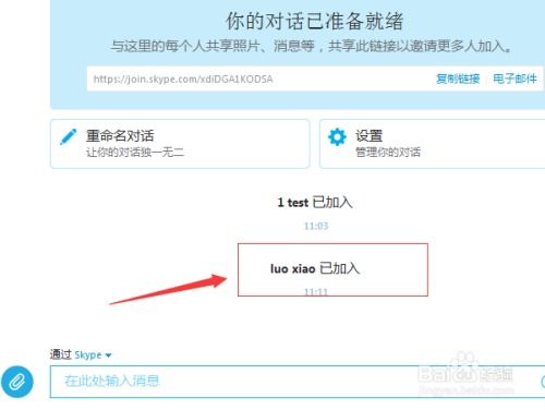 Skype是语音聊天,跨越时空的语音沟通桥梁