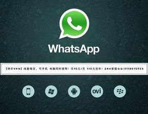 whatsapp安卓版连接不上,揭秘无法连接的常见原因及解决方案