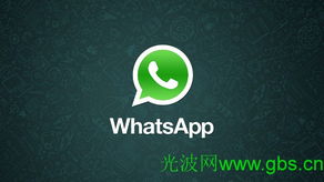 WhatsApp不能发送音频,揭秘无法发送音频的常见原因及解决方案