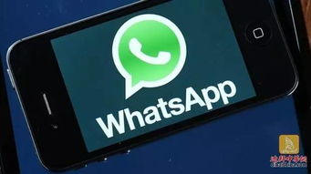 whatsapp视频语音不能用了,紧急修复中！