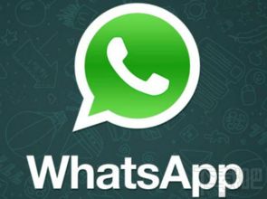 whatsapp用户手机号码,从WhatsApp手机号码看社交网络背后的秘密