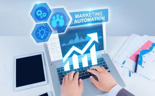 whatsapp营销保质保量盐城恒嘉供应,专业供应保障”