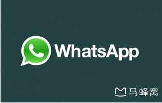 WhatsApp连网,揭秘即时通讯巨头背后的全球网络布局