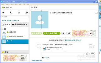 skype可以传文件么,Skype文件传输功能详解