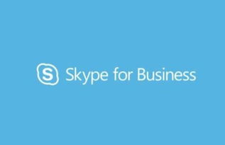 skype会议啥意思,高效远程沟通新篇章