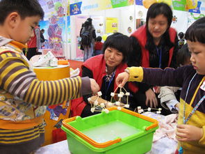 胡闹小魔童游戏手机最新版2024下载安装 