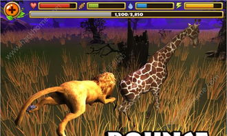 泡泡大作战游戏手机游戏 