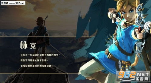 塞尔达传说王国之泪港版 