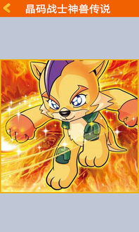 神兽传奇新篇章 