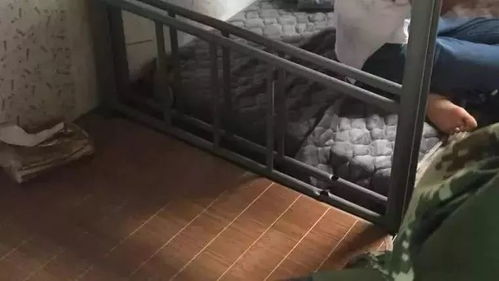 最强弹一弹小游戏 