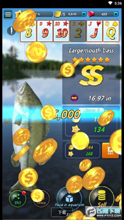 小猫钓鱼破解版游戏(内置菜单) 