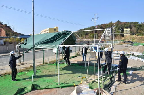 新仙剑奇侠传之挥剑问情游戏官方版下载2024最新 