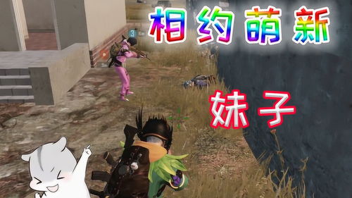 泡泡大作战游戏手机游戏 