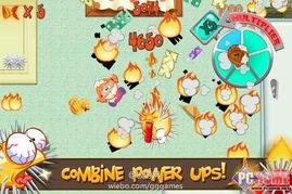 飞鱼浏览器下载安装 